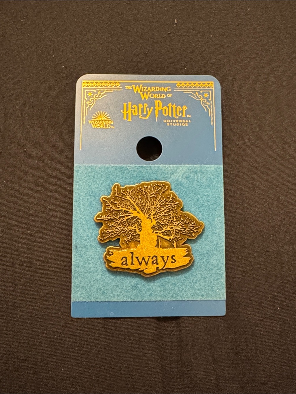 Universal Studios Harry Potter Pin - Always